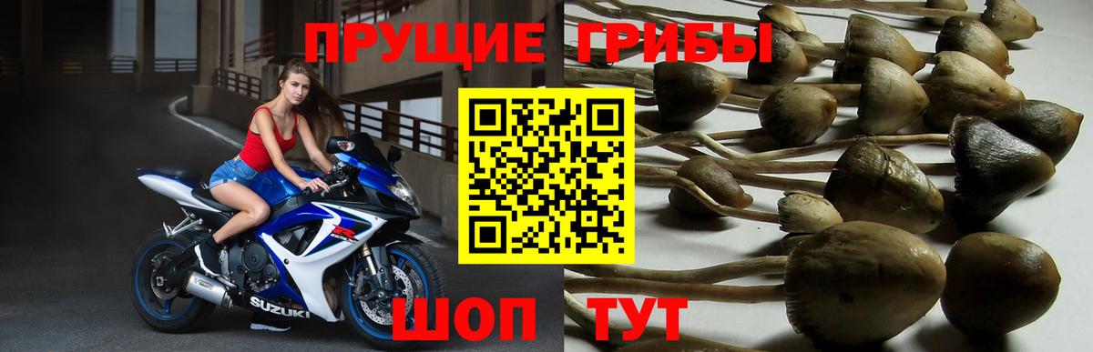 Галлюциногенные грибы прущие грибы Нерюнгри