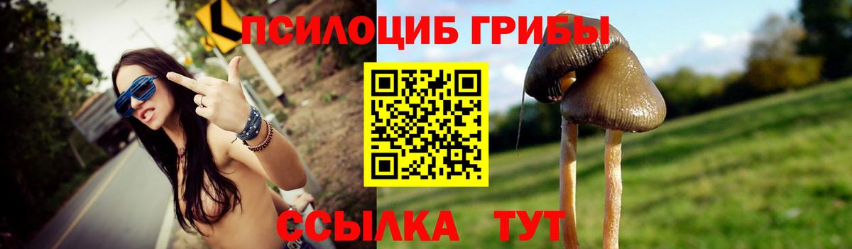 Мефедрон   Альфа ПВП СОЛЬ кристаллы  МАРИХУАНА  Нерюнгри  COCAIN  Гашиш  Меф МЯУ МЯУ  Вход с VPN 